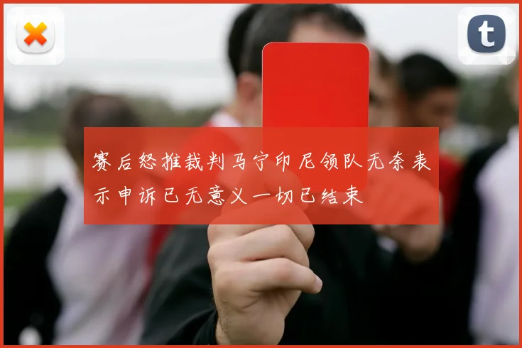 赛后怒推裁判马宁印尼领队无奈表示申诉已无意义一切已结束